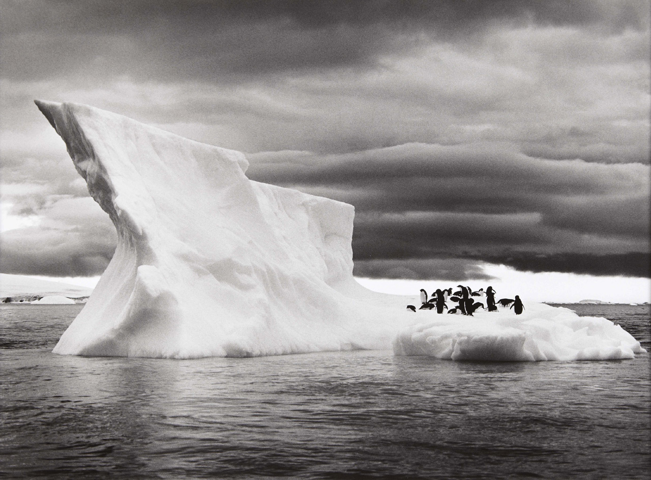 Icebergs near Paulet Island, Situated East of the Antarctica Peninsula from Genesis,  2005