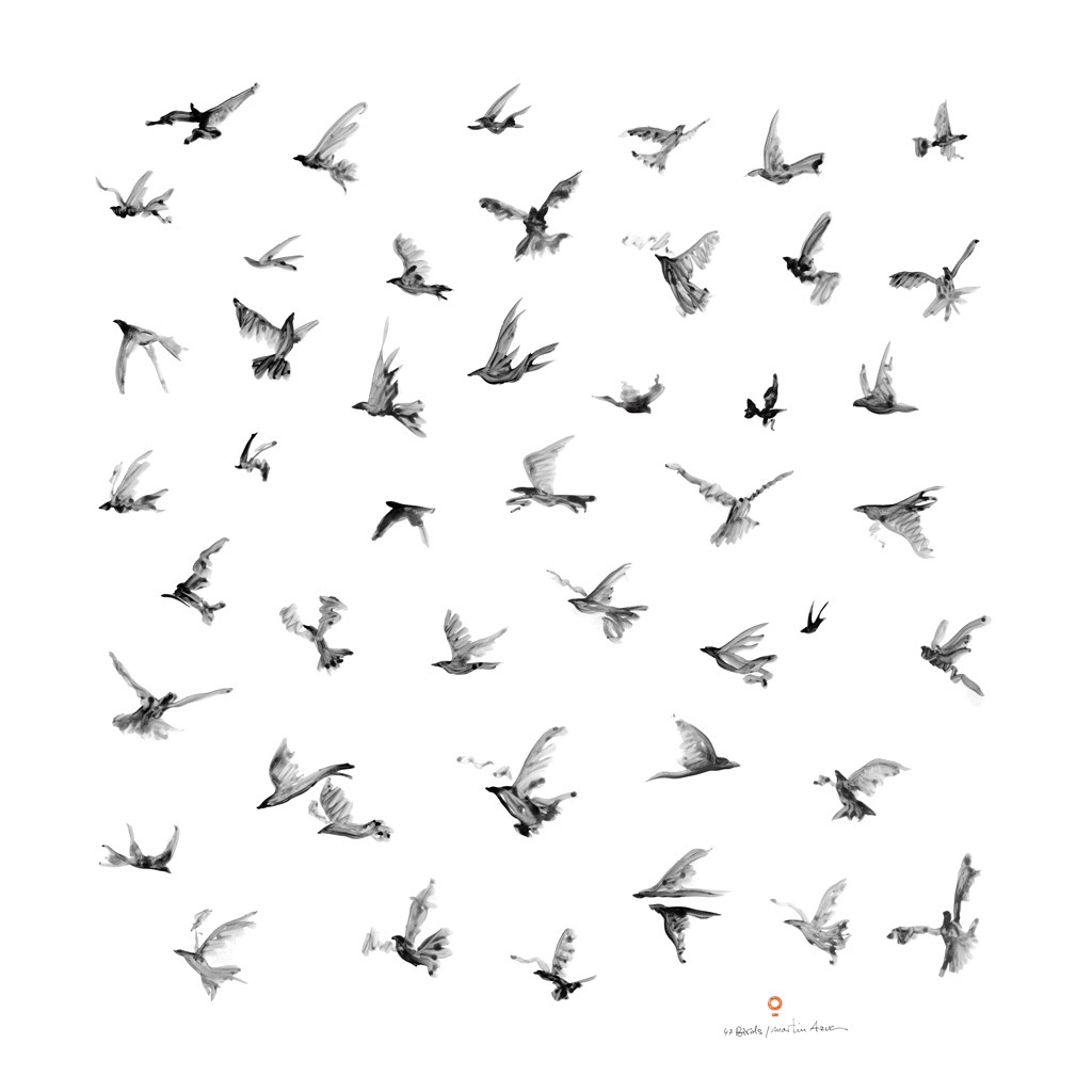 47-birds-maltm_com-09