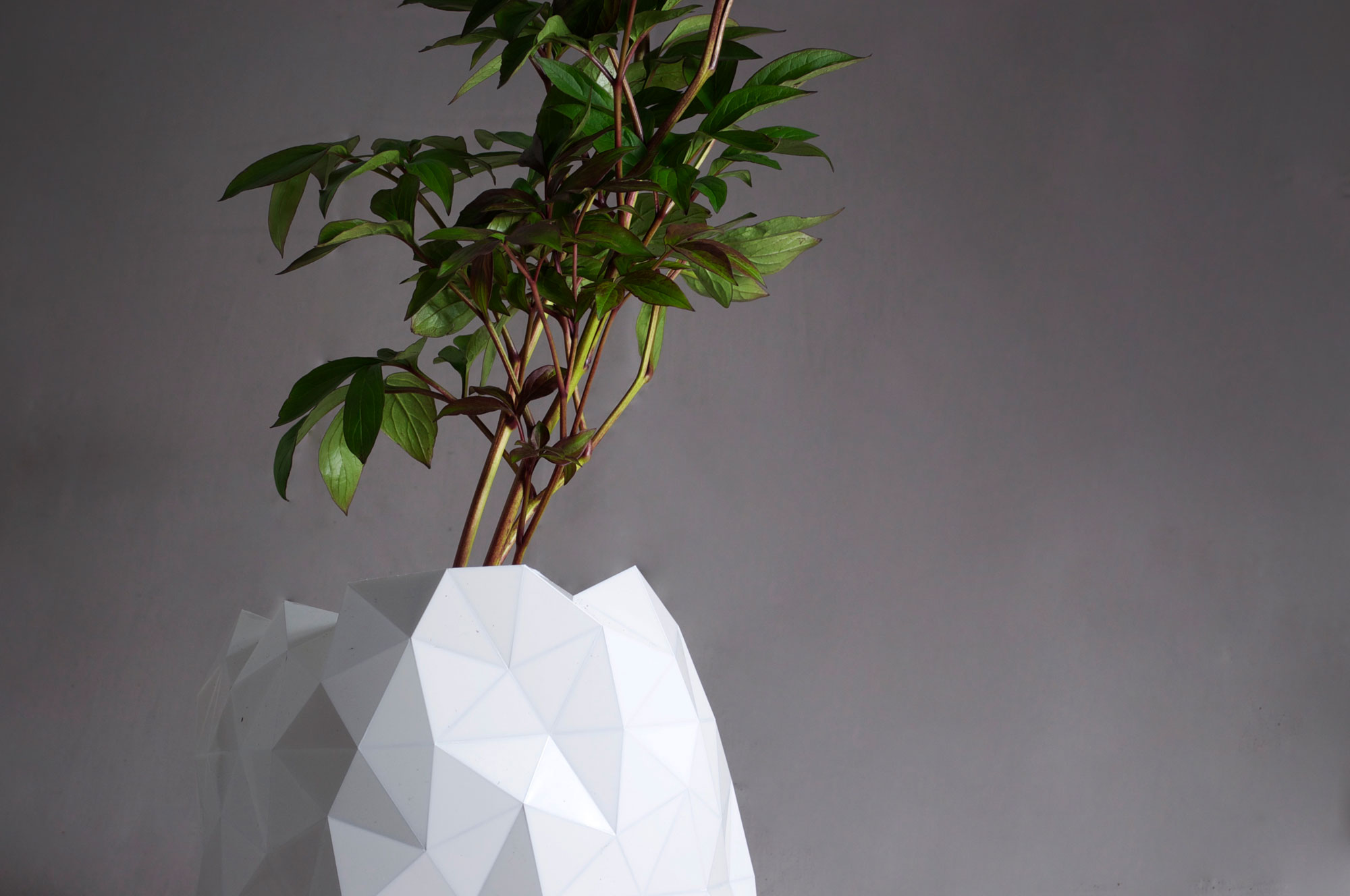 Studio-Ayaskan-Growth-Origami-Planter4
