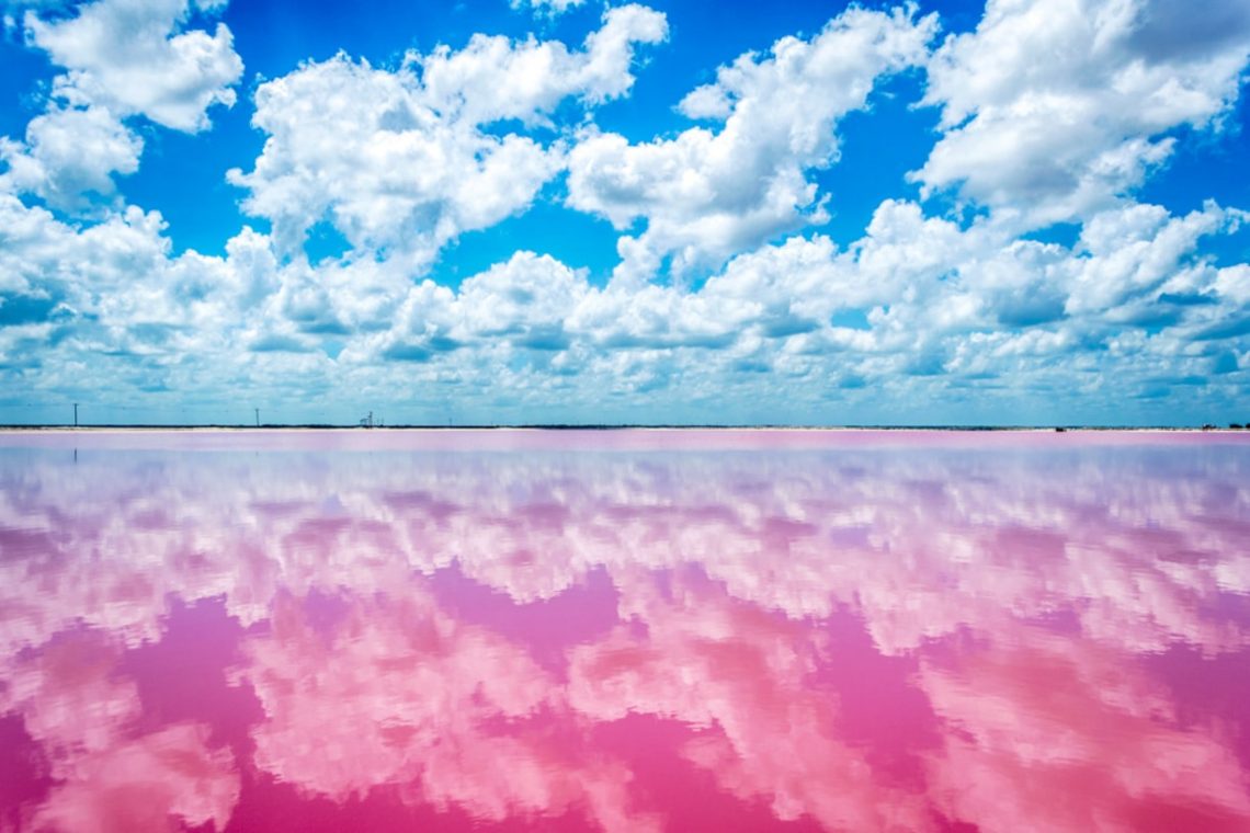 Las-coloradas-Pink-Lake-Mexico-maltm-04