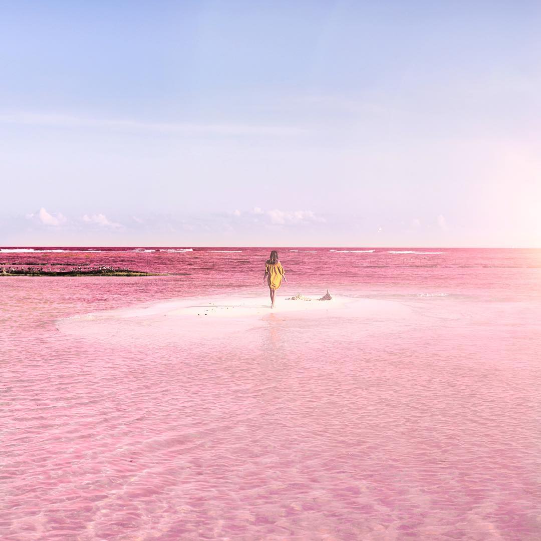 Las-coloradas-Pink-Lake-Mexico-maltm-08
