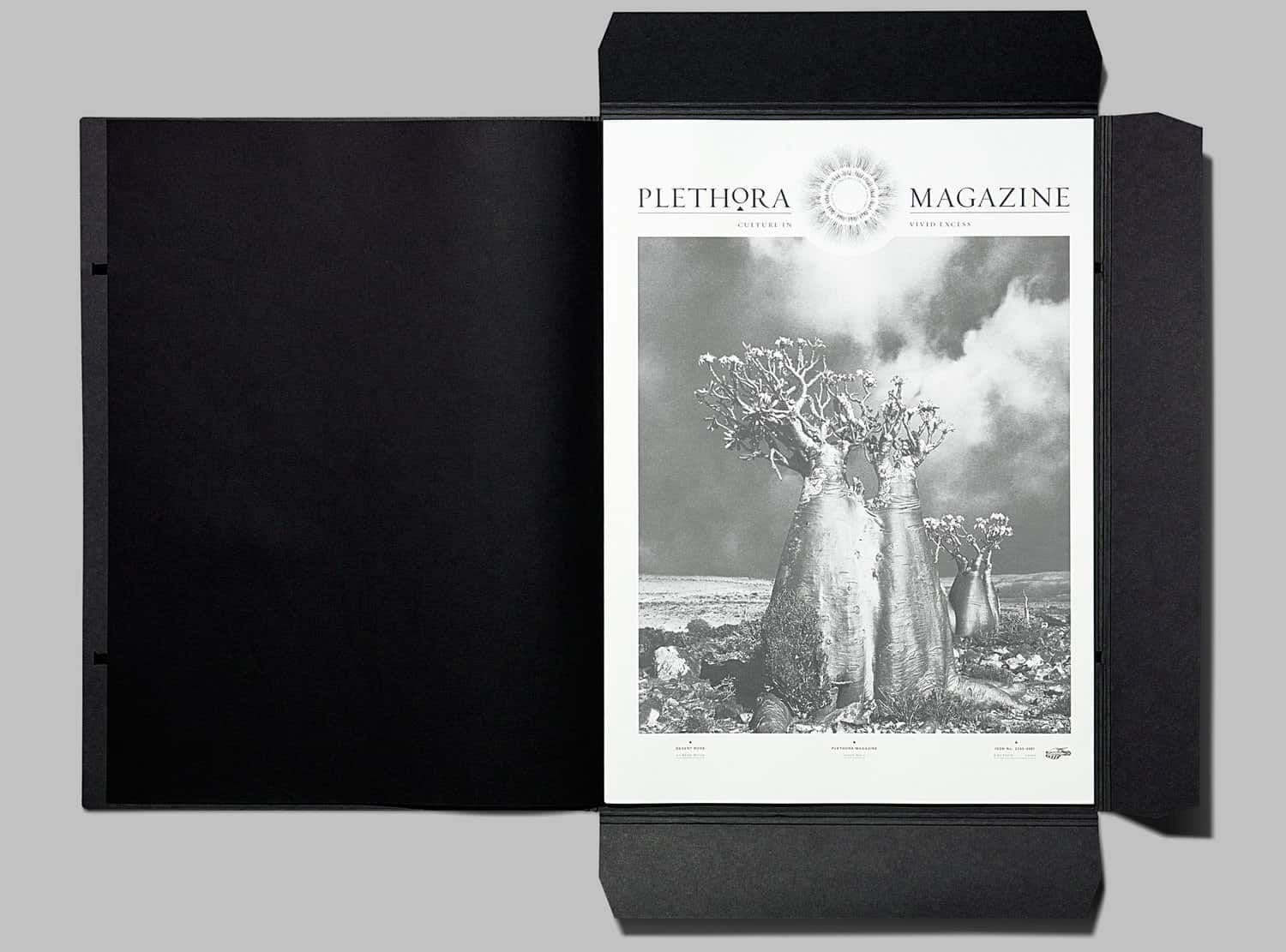 Plethora Magazine_08